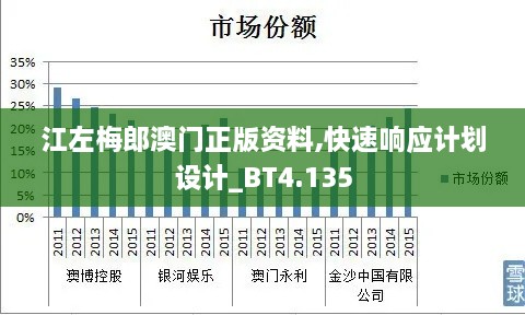 江左梅郎澳门正版资料,快速响应计划设计_BT4.135