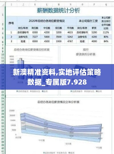 新澳精准资料,实地评估策略数据_专属版7.928