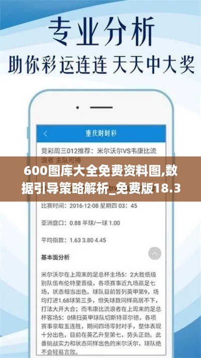 600图库大全免费资料图,数据引导策略解析_免费版18.317