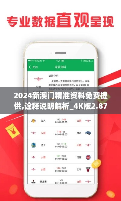 2024新澳门精准资料免费提供,诠释说明解析_4K版2.878