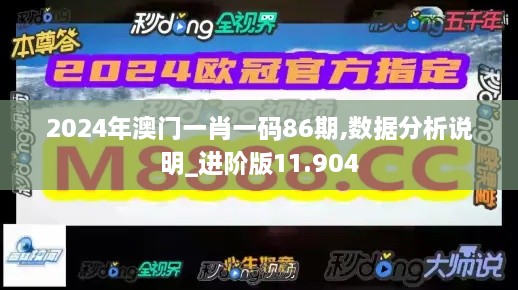 2024年澳门一肖一码86期,数据分析说明_进阶版11.904