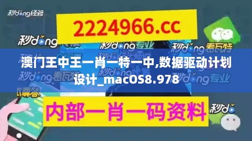 澳门王中王一肖一特一中,数据驱动计划设计_macOS8.978