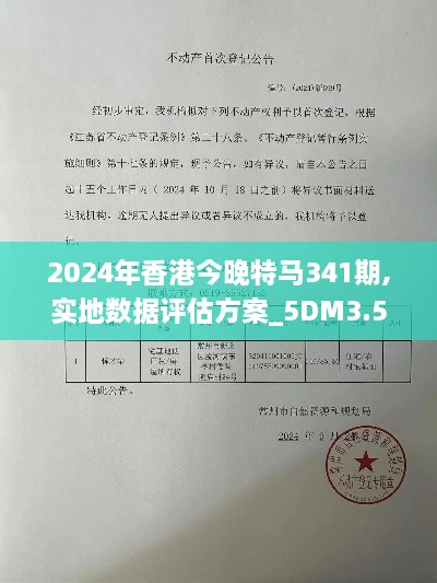 2024年香港今晚特马341期,实地数据评估方案_5DM3.599