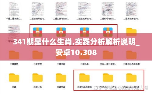 341期是什么生肖,实践分析解析说明_安卓10.308