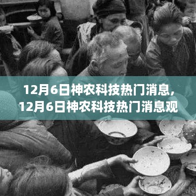 12月6日神农科技最新热门消息及观点论述