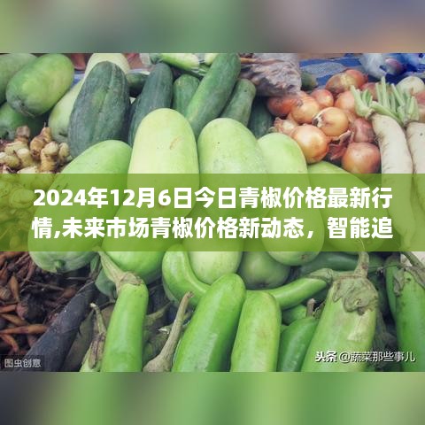 2024年12月7日 第15页