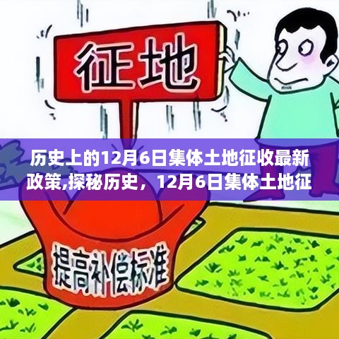 揭秘历史上的集体土地征收政策变迁，新政策下的隐秘小巷特色小店探索之旅