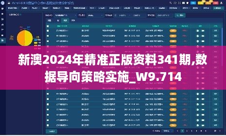 新澳2024年精准正版资料341期,数据导向策略实施_W9.714