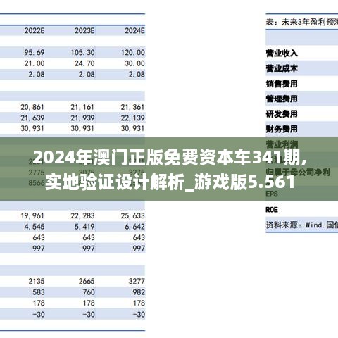 2024年澳门正版免费资本车341期,实地验证设计解析_游戏版5.561