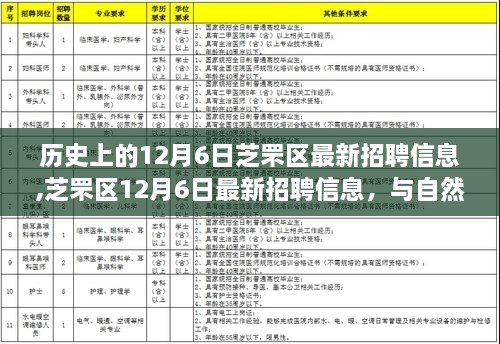 芝罘区最新招聘信息发布，与自然共舞，启程寻找内心的宁静之旅（12月6日）