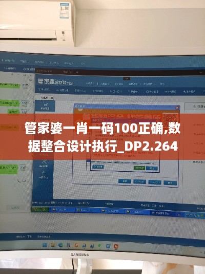 管家婆一肖一码100正确,数据整合设计执行_DP2.264