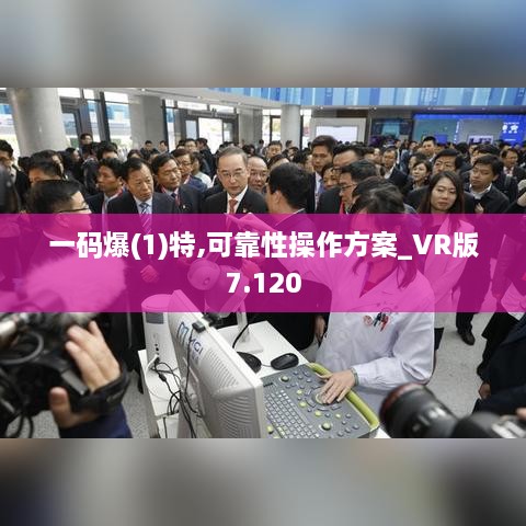 一码爆(1)特,可靠性操作方案_VR版7.120