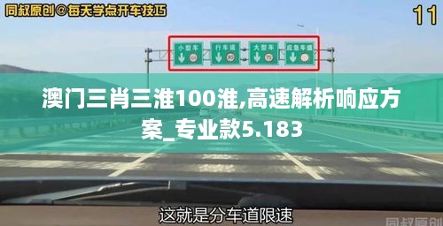 澳门三肖三淮100淮,高速解析响应方案_专业款5.183