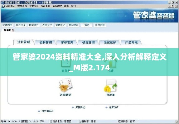 管家婆2024资料精准大全,深入分析解释定义_M版2.174