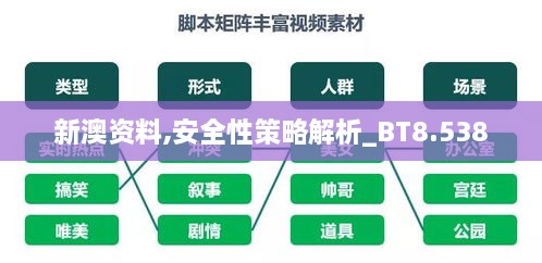 新澳资料,安全性策略解析_BT8.538