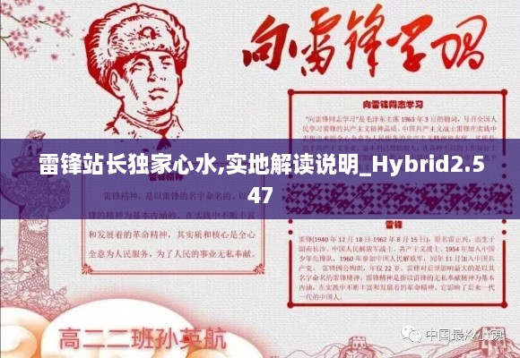 雷锋站长独家心水,实地解读说明_Hybrid2.547