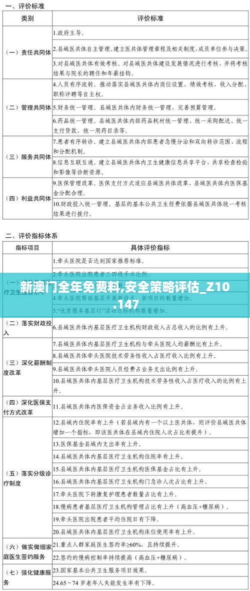 新澳门全年免费料,安全策略评估_Z10.147