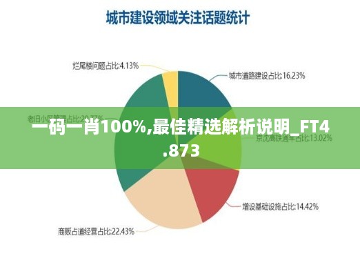 一码一肖100%,最佳精选解析说明_FT4.873