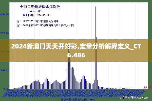 2024新澳门天天开好彩,定量分析解释定义_CT6.486