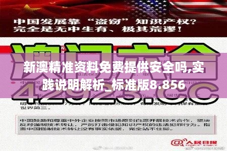 新澳精准资料免费提供安全吗,实践说明解析_标准版8.856