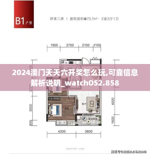 2024澳门天天六开奖怎么玩,可靠信息解析说明_watchOS2.858