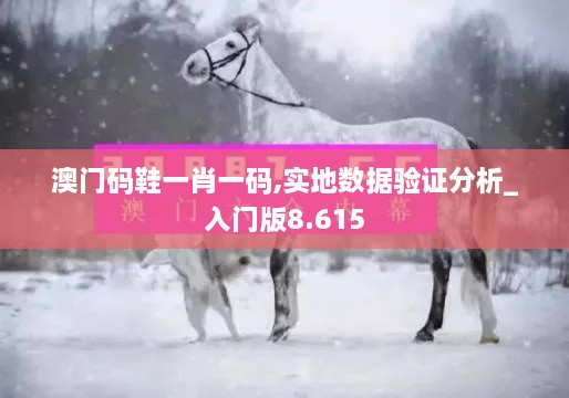 澳门码鞋一肖一码,实地数据验证分析_入门版8.615