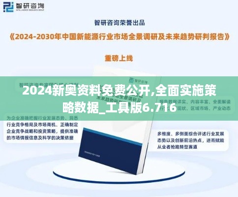 2024新奥资料免费公开,全面实施策略数据_工具版6.716