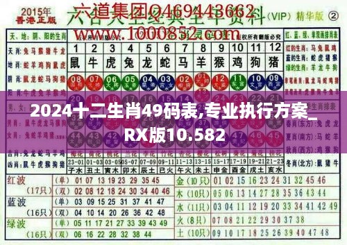 2024十二生肖49码表,专业执行方案_RX版10.582