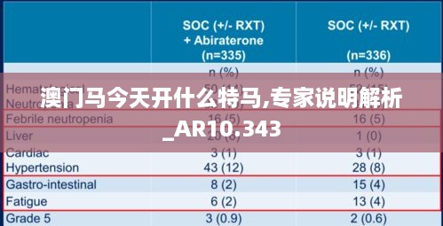 澳门马今天开什么特马,专家说明解析_AR10.343