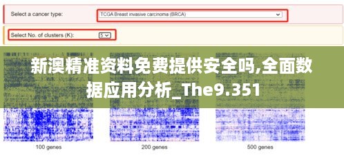 新澳精准资料免费提供安全吗,全面数据应用分析_The9.351