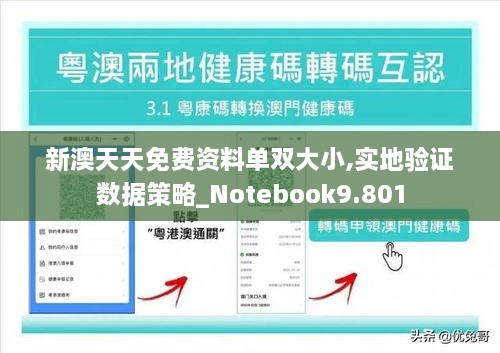 新澳天天免费资料单双大小,实地验证数据策略_Notebook9.801