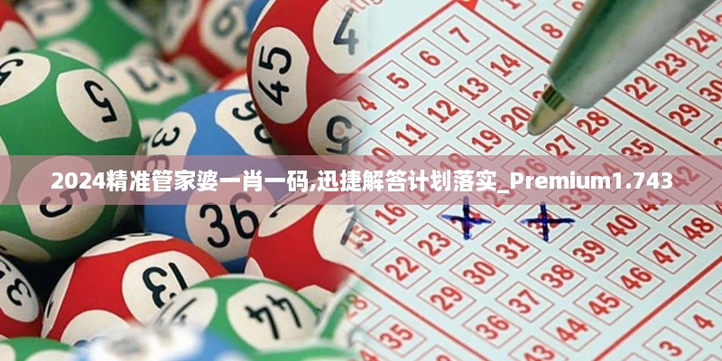 2024精准管家婆一肖一码,迅捷解答计划落实_Premium1.743