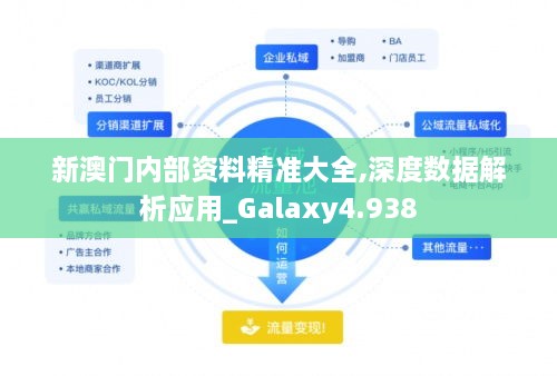 新澳门内部资料精准大全,深度数据解析应用_Galaxy4.938