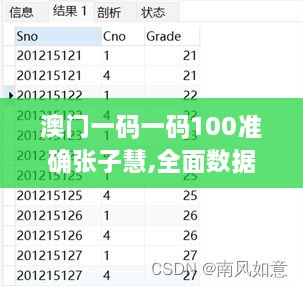 澳门一码一码100准确张子慧,全面数据解释定义_AR版4.508