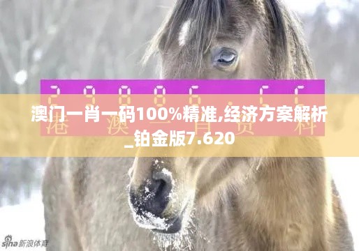 澳门一肖一码100%精准,经济方案解析_铂金版7.620