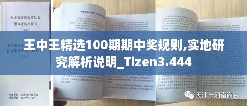 王中王精选100期期中奖规则,实地研究解析说明_Tizen3.444