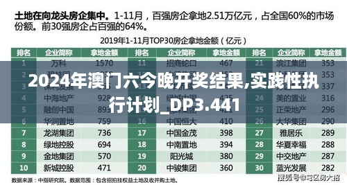 2024年澳门六今晚开奖结果,实践性执行计划_DP3.441