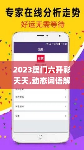 2023澳门六开彩天天,动态词语解释定义_冒险版2.516