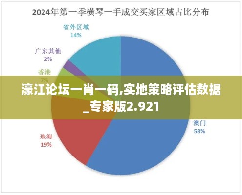 濠江论坛一肖一码,实地策略评估数据_专家版2.921