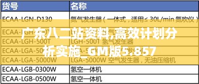 广东八二站资料,高效计划分析实施_GM版5.857