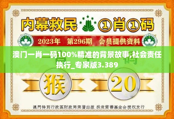 澳门一肖一码100%精准的背景故事,社会责任执行_专家版3.389