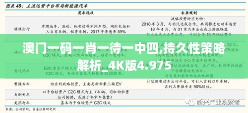 澳门一码一肖一待一中四,持久性策略解析_4K版4.975