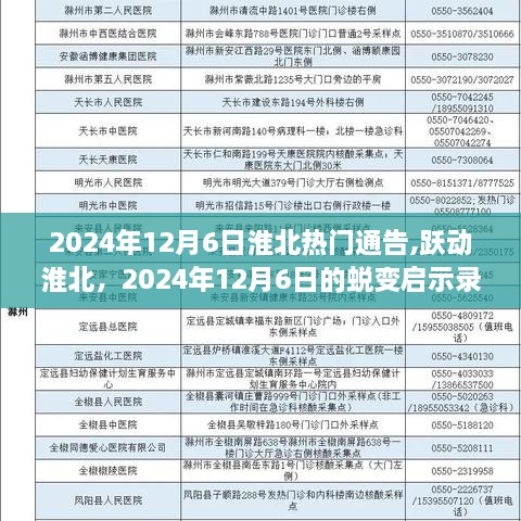 淮北蜕变启示录，跃动淮北，学习铸就自信之源（2024年12月6日通告）