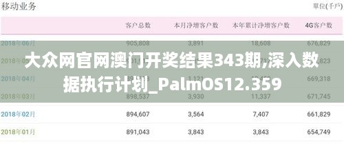 大众网官网澳门开奖结果343期,深入数据执行计划_PalmOS12.359