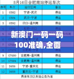 新澳门一码一码100准确,全面数据执行方案_WP2.957