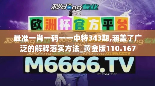 最准一肖一码一一中特343期,涵盖了广泛的解释落实方法_黄金版110.167