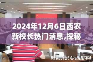 揭秘西农新校长热门话题背后的特色小店，小巷深处的秘密故事（最新消息）