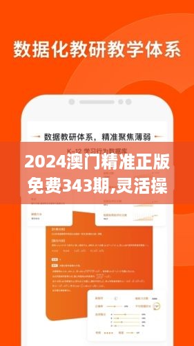 2024澳门精准正版免费343期,灵活操作方案设计_L版4.458