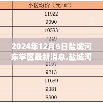 盐城河东学区科技新篇章，最新消息与高科技产品深度解析（2024年12月6日）