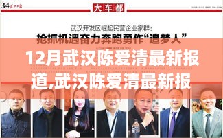 武汉陈爱清最新报道分析，个人立场与观点阐述